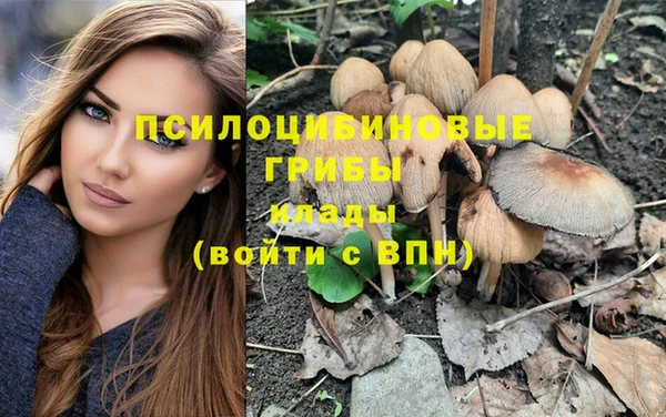 apvp Бронницы