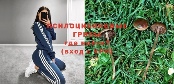 меф Бородино